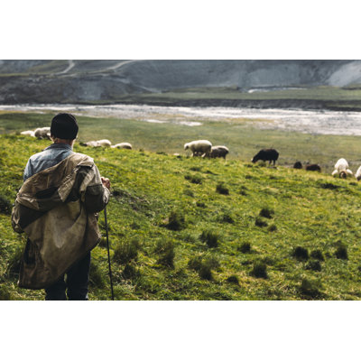 Shepherd With Sheep On The Field In Mountains, Rear View. Agriculture Concept - Wrapped Canvas Print