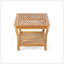 2 CHAISES CLUB CAYDON + TABLE