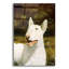 «Bull Terrier Smile» par John Silver-580608053