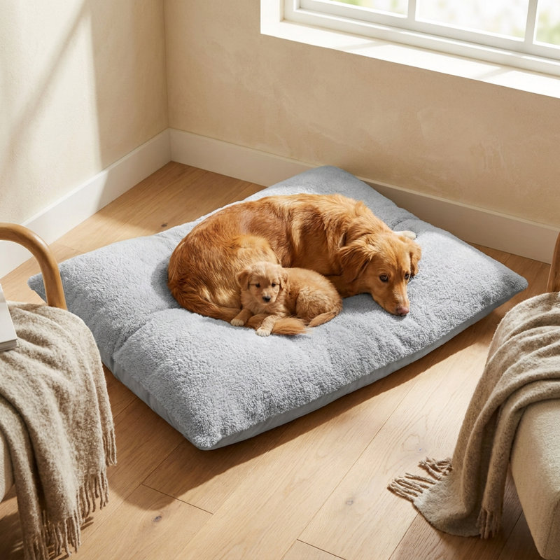 Lit pour chien Breeze, Gris, 27.6
