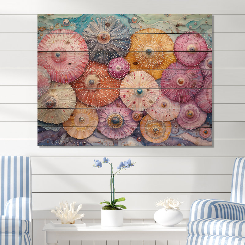 Colorful Sea Urchin In Parade II - Sea Urchin Wood Print - On Natural Pine Wood, 24" H x 32" W x 0.78" D