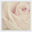 Fresh Morning Dew - Single Picture Frame Painting-931164934