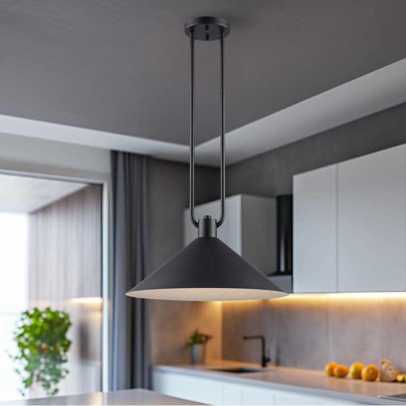 Fayra Industrial Pendant, Black, 11.75" H x 17" W x 17" D