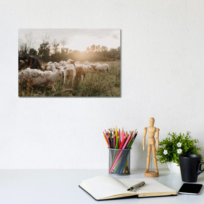 " Sheep in the Field " Print