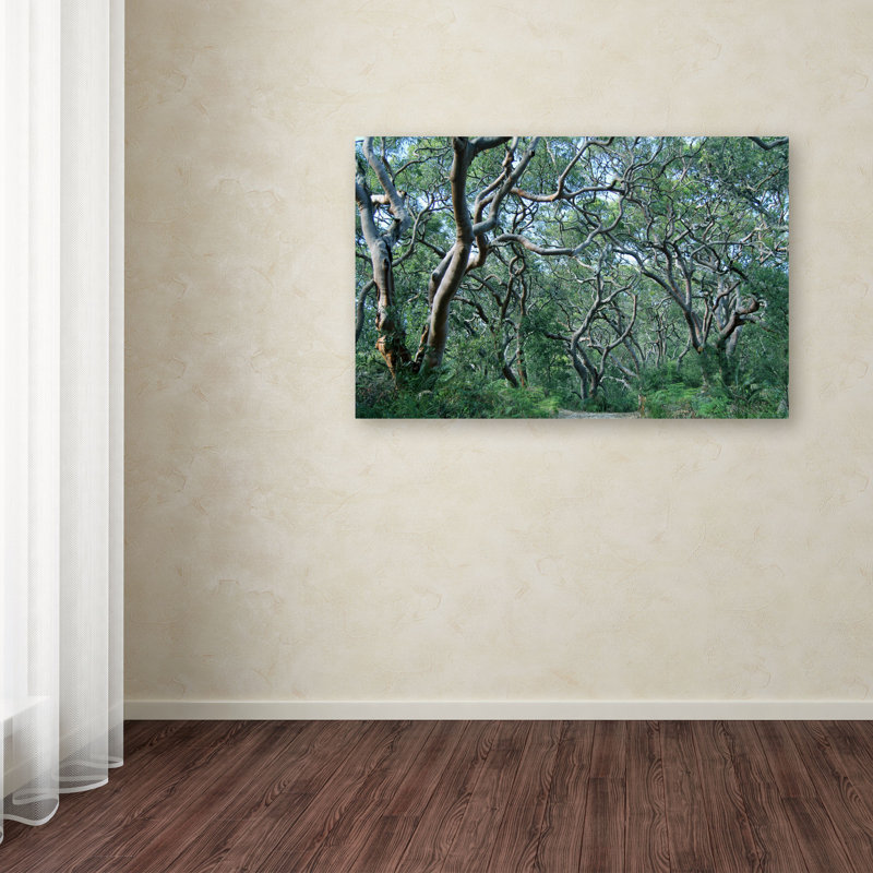 « belle esprit », reproduction de photo sur toile tendue, H 22 po x l 32 po x P 2 po