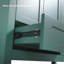 Un meuble-lavabo vert de 48 pouces de large avec un grand espace de rangement - une armoire avec 4 portes à fermeture douce et 2 tiroirs (à l'exception du lavabo en céramique)