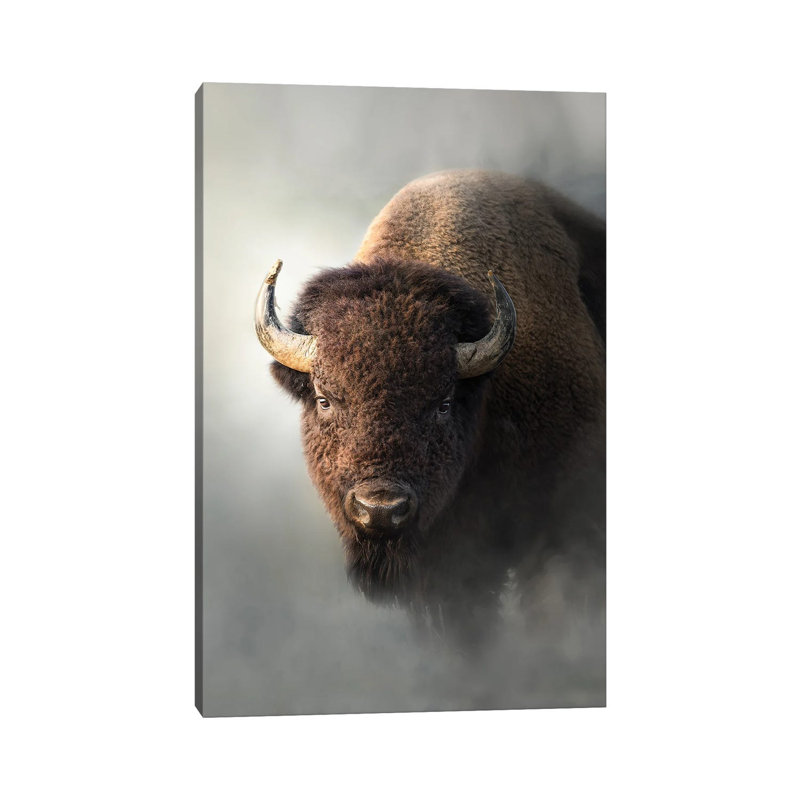 Bison dans la brume - Giclée sur toile tendue avec châssis