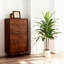 Arbre Dracaena artificiel 47 pouces avec pot de PP blanc gratuit - plante verte pour la décoration intérieure de la maison, du bureau et du salon
