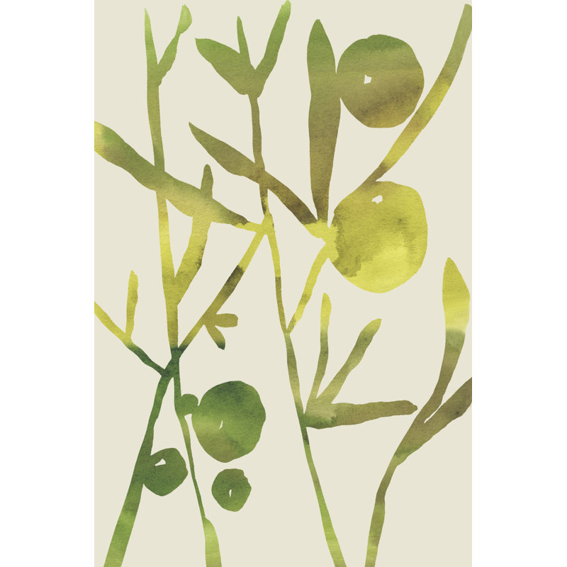 Spring Sprig III by Chariklia Zarris - Wrapped Canvas Painting, 122cm H x 81cm W