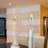 Roma 1-Light LED Glass Pendant Light with Adjustable Height