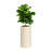 Dorcaster Pot Planter-1533035140