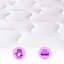 Blassingame Symple Stuff Open Coil Mattress-1412614636