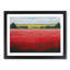 XH1022-607X An Enigmatic Poppy Field Flowers - Single Picture Frame Print-961896668-961896671