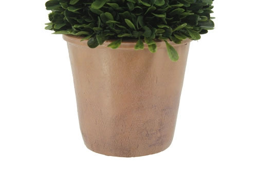24" Artificial Boxwood Plant in Tapered Pot