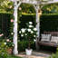 89.99 cm H Artificial Rose in Plastic Pot