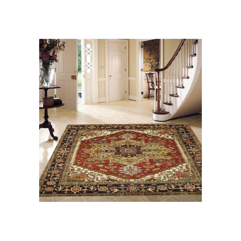 Hand Knotted Wool Area Rug in Rust