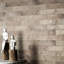 Arches Brick 2-1/2 In. X 9-7/8 In. Ceramic Wall Tile