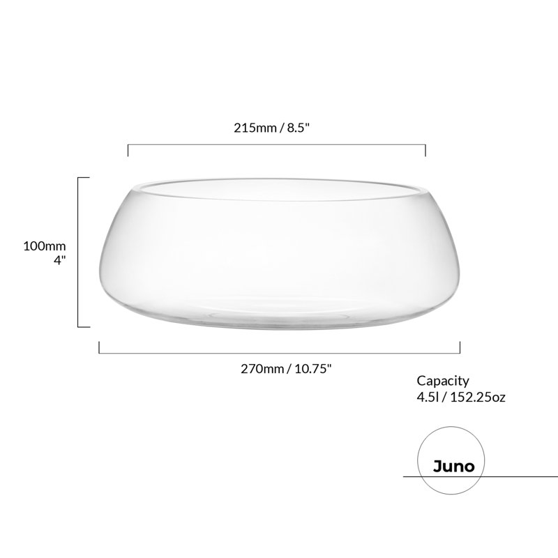 Anton Studio Designs Juno Glass Salad Bowl