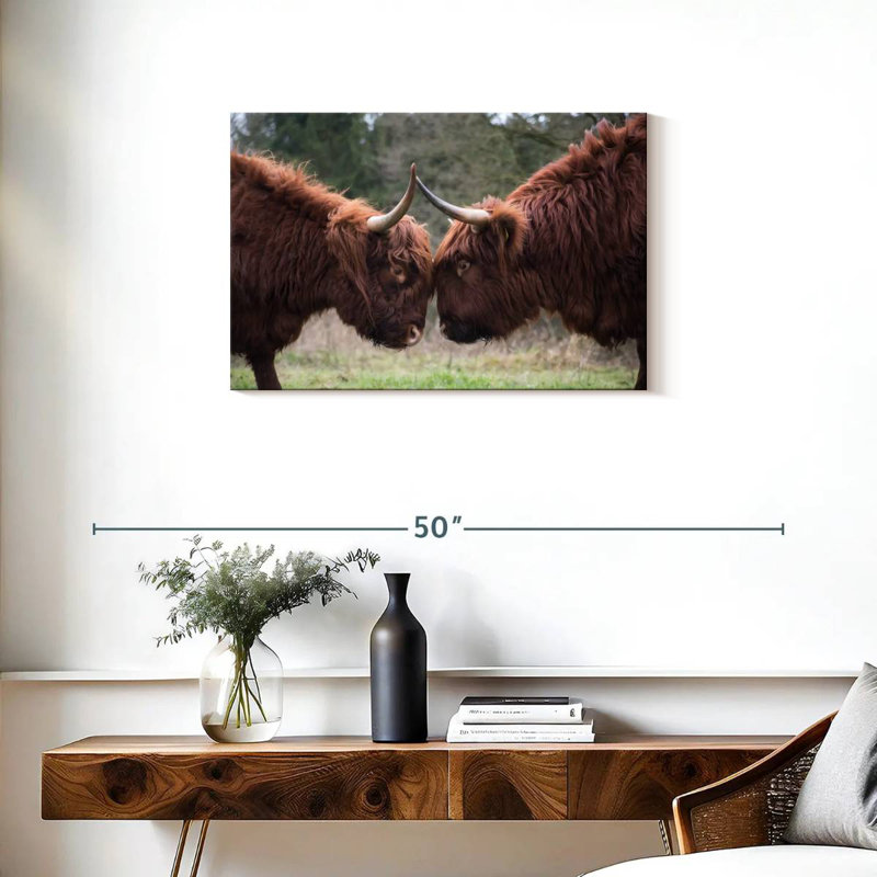 Brampt Highland Cow Clash, 20" H x 30" W
