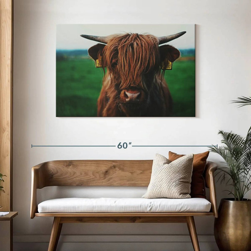 Brampt Highland Cow Close Up, 30" H x 45" W