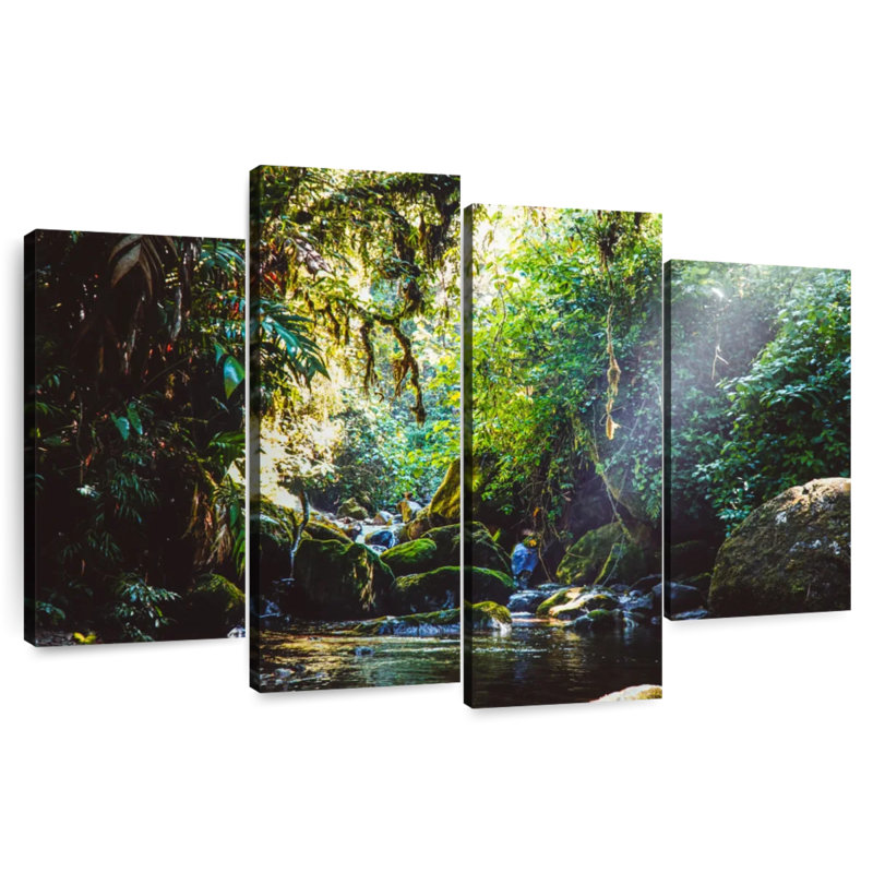 Alvord Forest In Panama, 22" H x 36" W