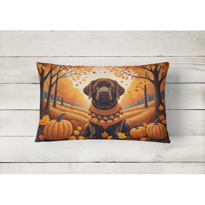 Other/No Pattern Outdoor Throw Pillow