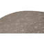Wool Oriental Area Rug in Gray