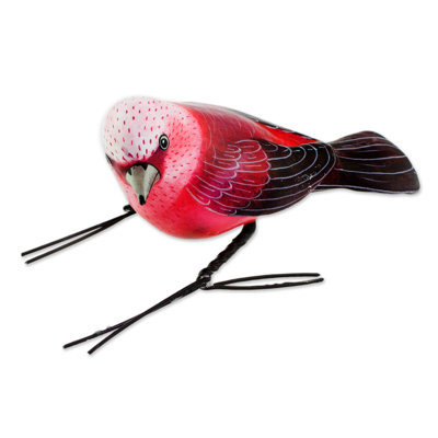 Figurine warbler Noles