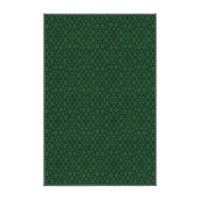 Indoor Rug