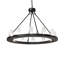 12 - Light Chandelier