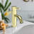 Lulani Aruba Single Hole Bathroom Faucet with Drain Assembly-50297495