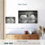 Couple de cygnes Brampt-106802144