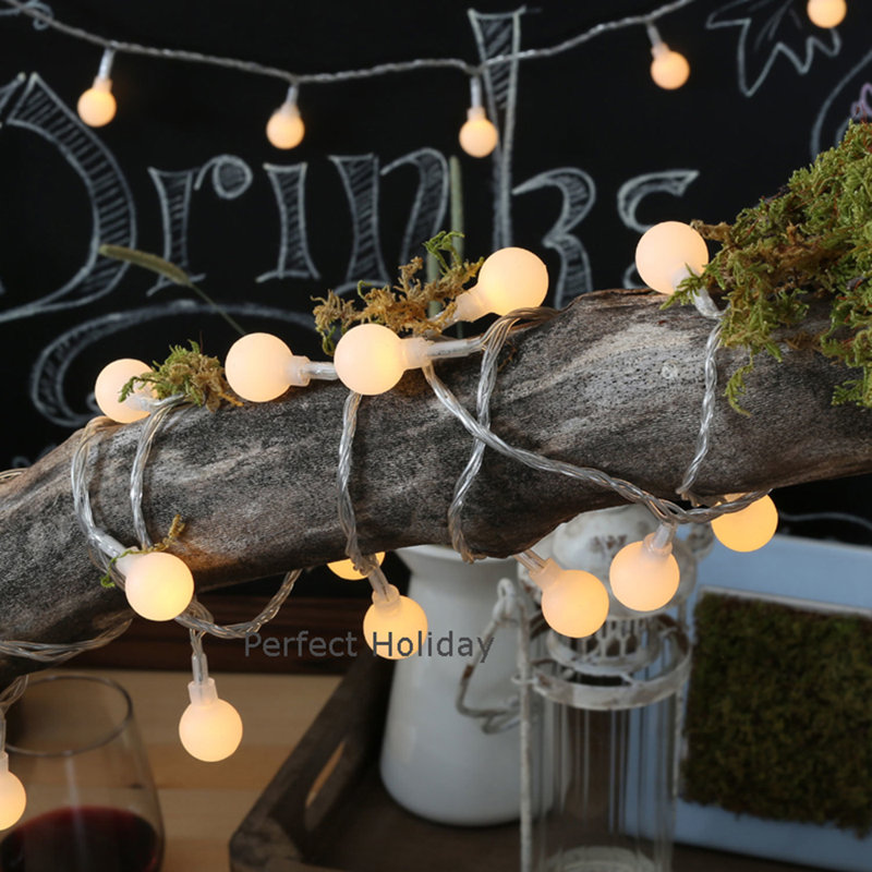 Asher Indoor Plug-in LED Globe String Light, 32 ft., Clear, Warm White