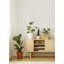 Addition 10' L x 24" W Wallpaper Roll-74998558-111392894-68140172