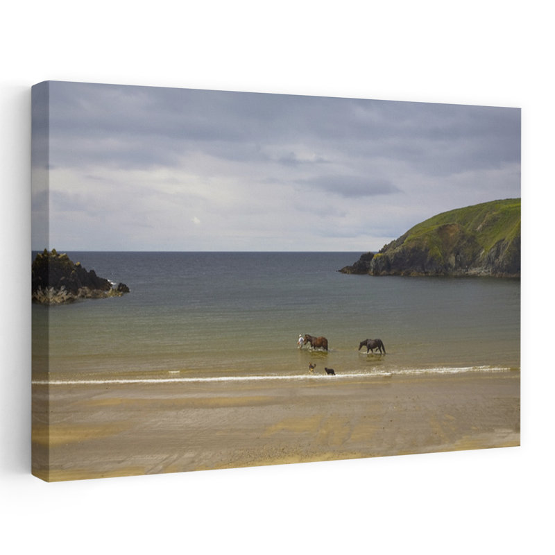 Walking Injured Horse Dunabrattin Cove The Copper Coast County Waterford Ireland by George Munday - Wrapped Canvas Print