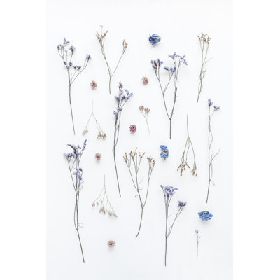 Fleurs séchées - photographie sur toile tendue