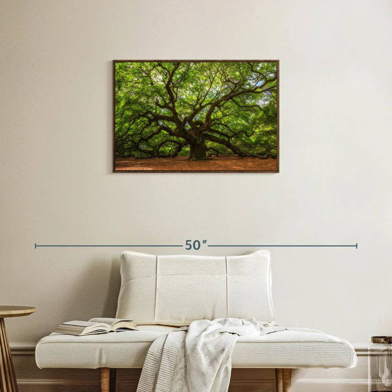 Oak, Floating Frame Walnut, 31" X 21"