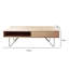 Anurima Coffee Table with Storage