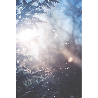 Winter Scene by Andrey Danilovich - No Frame Art Prints on Canvas
