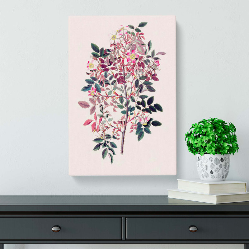 Rose Flowers Illustration - Wrapped Canvas, 50cm H x 35cm W x 3cm D