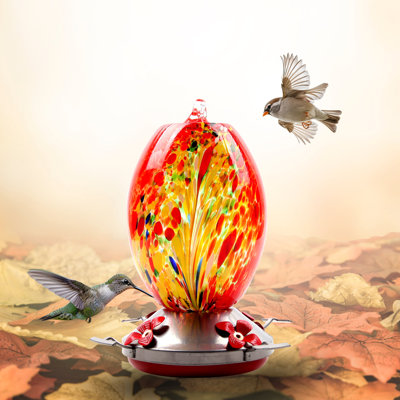 Arvle Glass Freestanding Hummingbird Feeder
