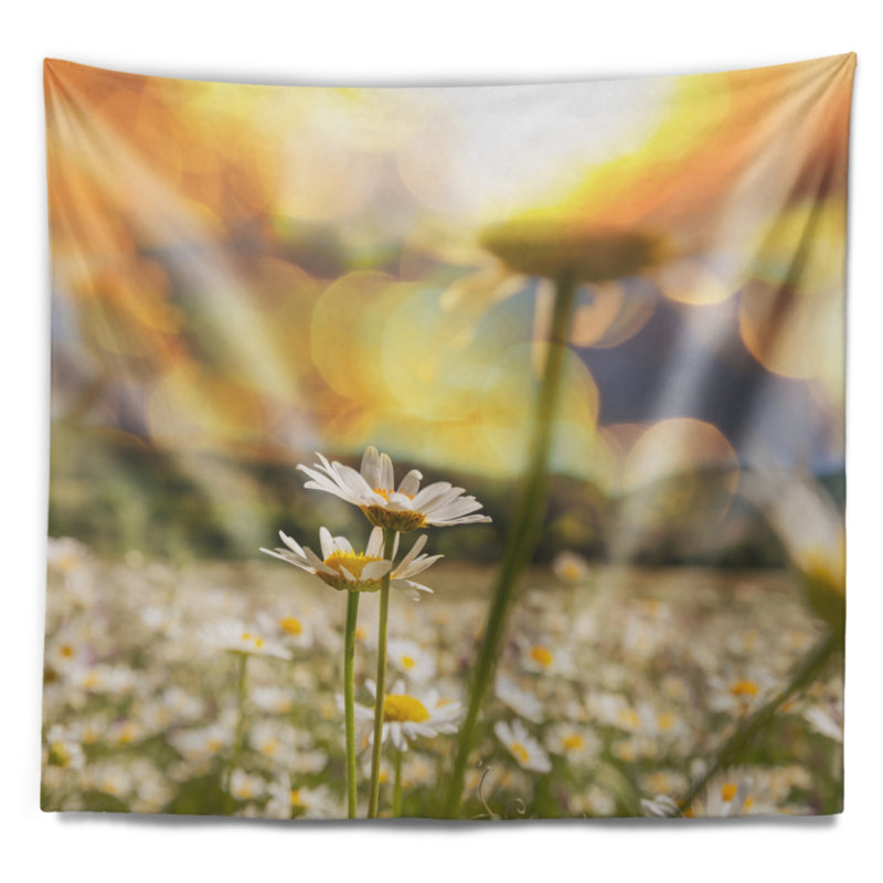 Tapisserie de terrain floral incroyable camomille, H 50 po x l 60 po