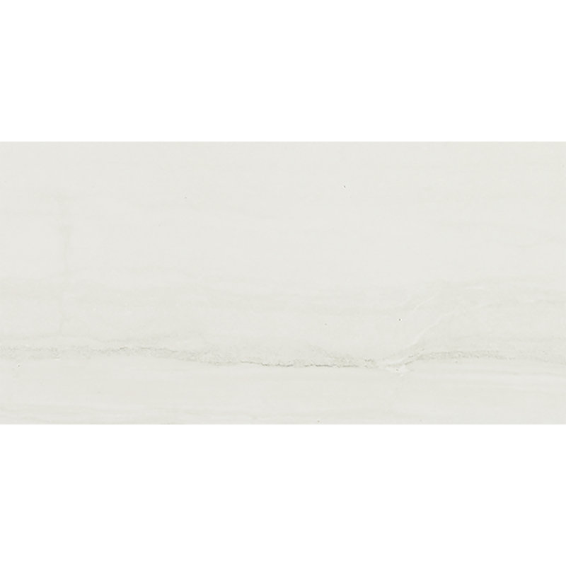 Shining Star Semi-Polished 12'' W x 24'' L Porcelain Stone Look Singular Tile, Cotton