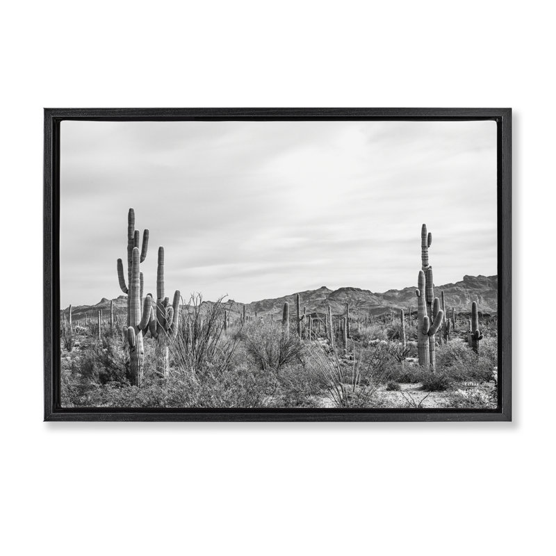 Toile flottante encadrée dorée Sonoran Desert Wonderland par Nathan Larson, Cadre flottant noir de jais, H 21 po x l 31 po
