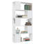 Cashe Library Bookcase-1601821170-1525162667