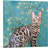 Reproduction d'art graphique sur toile Bengal Cat Breed-56102056