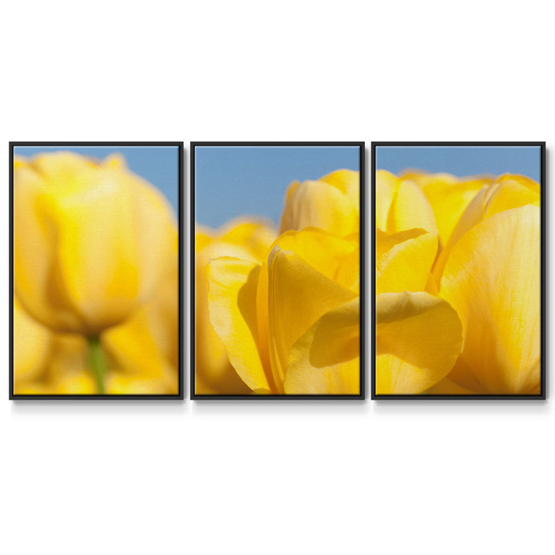 Jaune soleil I 3 pièces, H 24 po x l 48 po x P 2 po, Noir