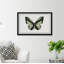Vert forêt-papillon-impression sur papier-62471575