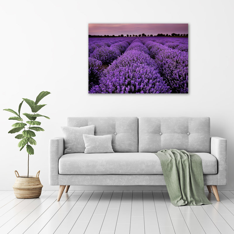 Lavender Field - Wrapped Canvas Print