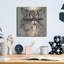 Art mural luxueux en métal «Persian Cat» par Carolee Vitaletti, 36 po x 36 po-101657986